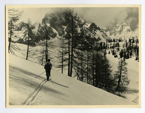 Sciatore sulle nevi dello